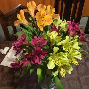 Meet your Posher, Gregory